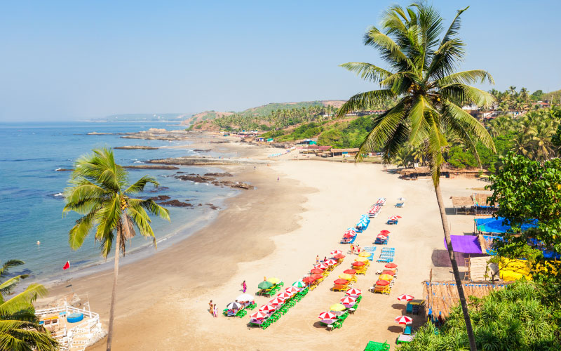 Why Choose U Travel Holidays